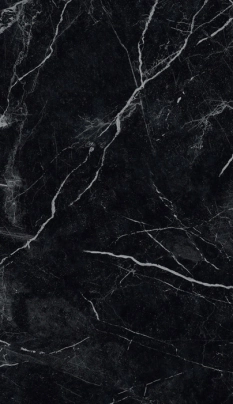 PORCELANICO 61X116 MARMO NERO CAJA  2,83 M2 *15%