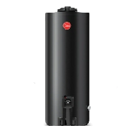 TERMO RHEEM 120L NORMAL TGNP120RH SUP/GN NEGR
