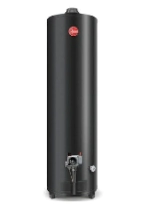 TERMO RHEEM 160L A.POT APG10NRH07 SUP/G.Nat