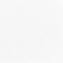 CERAMICO SALTA 43X43 SEGUNDA CHAÑI BLANCO BRILLANTE 2.25M2XCAJA 5%